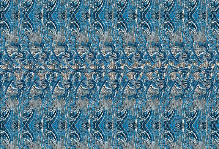 online stereogram reader online stereogram reader